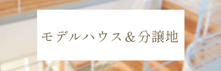 モデルハウス&分譲地